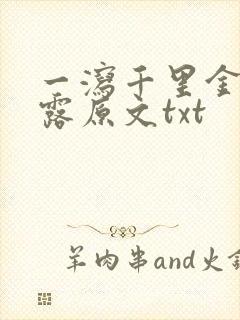 一泻千里金银花露原文txt