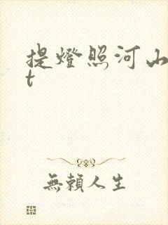 提灯照河山txt