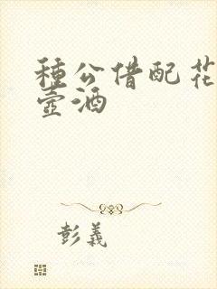 种公借配花间一壶酒