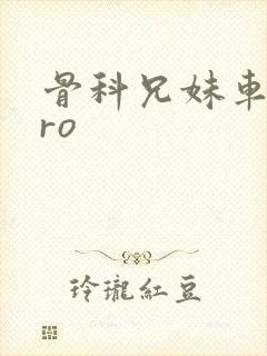骨科兄妹车多pro