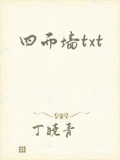 四面墙txt