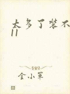 太多了装不下H11封面