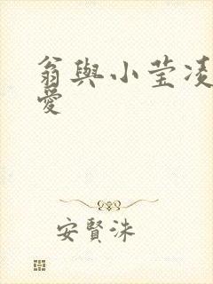 翁与小莹凌晨欢爱