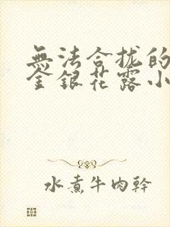 无法合拢的皇帝金银花露小说