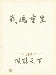武魂重生封面