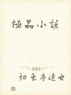 极品小说