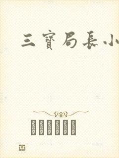 三宝局长小说