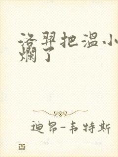 洛羿把温小辉做烂了