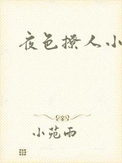 夜色撩人小说