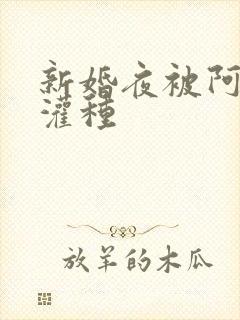 新婚夜被阿龟强灌种封面