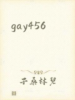 gay456