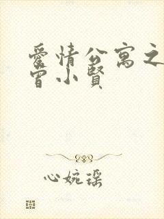 爱情公寓之极品曾小贤