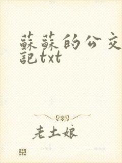 苏苏的公交车日记txt