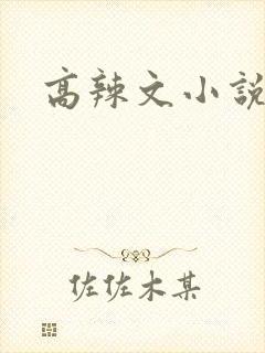 高辣文小说