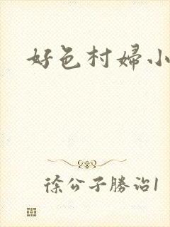 好色村妇小银贼封面