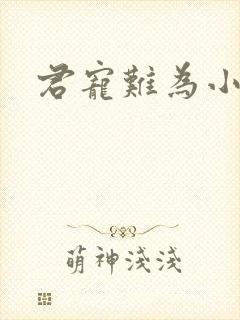 君宠难为小说