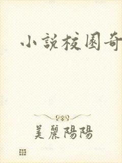 小说校园奇侠