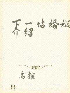 下一站婚姻剧情介绍