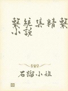 系统集精系统 小说封面