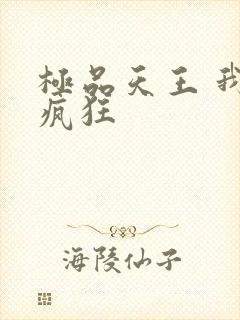 极品天王 我本疯狂
