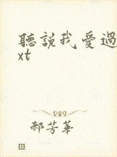 听说我爱过你txt封面