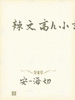 辣文高h小说