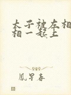太子被左相和右相一起上封面