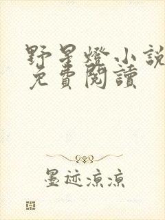 野星灯小说全文免费阅读