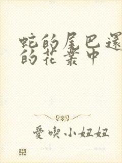 蛇的尾巴还在我的花丛中