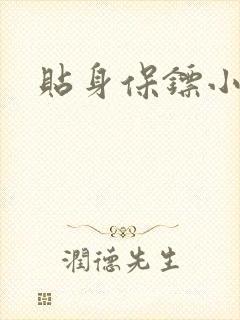 贴身保镖小说