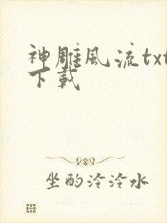 神雕风流txt下载