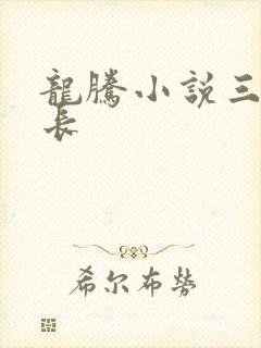 龙腾小说三宝局长