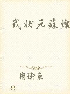 武状元苏灿