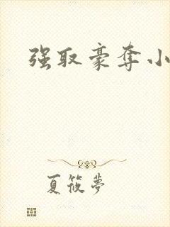 强取豪夺小说封面