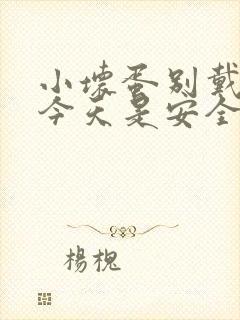 小坏蛋别戴套了今天是安全期封面