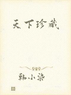 天下珍藏