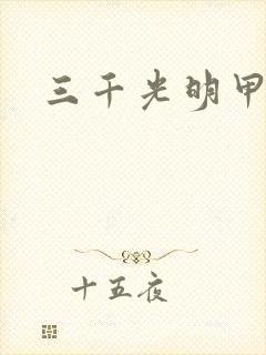 三千光明甲封面