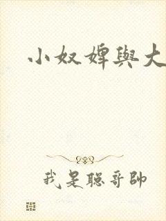小奴婢与大少爷