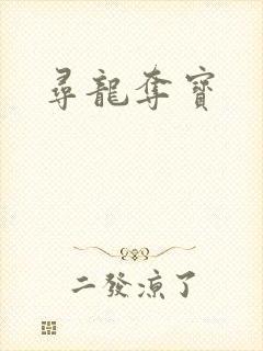 寻龙夺宝封面