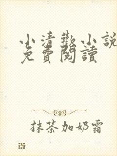 小清欢小说全文免费阅读