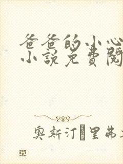 爸爸的小心肝儿小说免费阅读