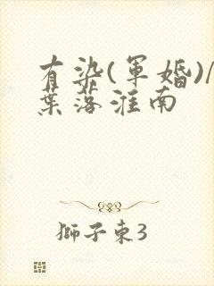 有染(军婚)/叶落淮南