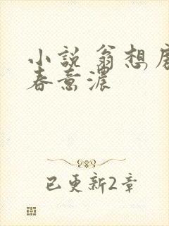 小说 翁想房中春意浓