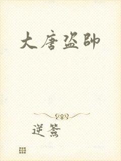 大唐盗帅