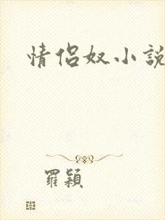 情侣奴小说