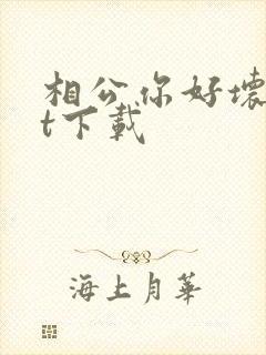 相公你好坏txt下载