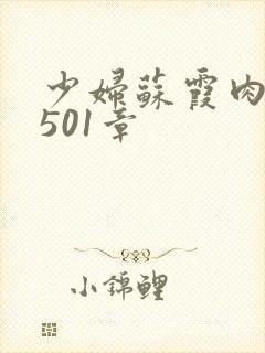 少妇苏霞肉欲第501章封面