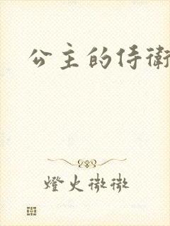 公主的侍卫