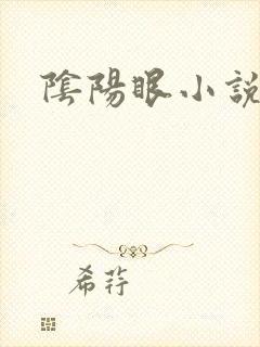 阴阳眼小说