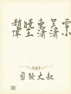 赵晓东吴雪晴郑伟王潇潇小说名字